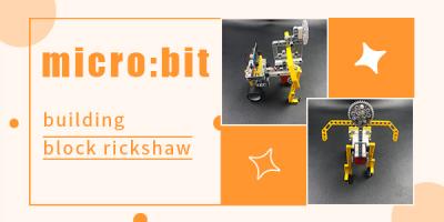 micro:bit Bricks Rickshaw