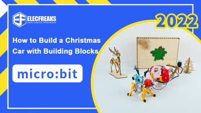 How to Build a Christmas Car with Building Blocks